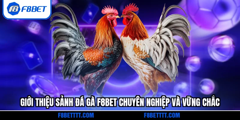 Giới thiệu sảnh đá gà F8BET chuyên nghiệp và vững chắc